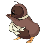 Brown Bruce