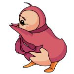 Pink Bruce