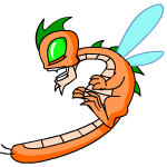 Orange Buzz