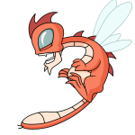 Orange Buzz