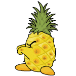 Pineapple Chia