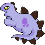 Purple Chomby