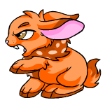 Orange Cybunny