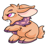Orange Cybunny