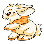 Orange Cybunny