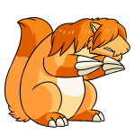 Orange Dirego