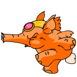 Orange Elephante