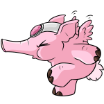 Pink Elephante