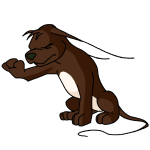 Brown Gelert