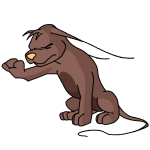 Brown Gelert