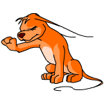Orange Gelert