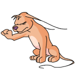 Orange Gelert