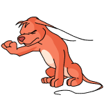Orange Gelert