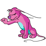 Pink Gelert