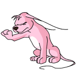 Pink Gelert