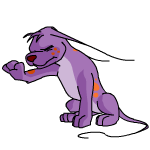 Purple Gelert