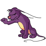 Purple Gelert