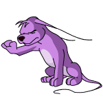 Purple Gelert