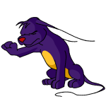 Purple Gelert