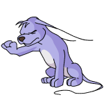 Purple Gelert