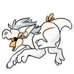 White Ginko