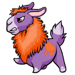Purple Gnorbu