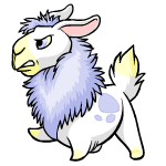 White Gnorbu