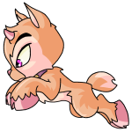 Orange Ixi