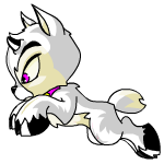 White Ixi