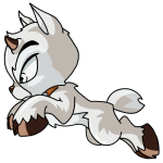 White Ixi