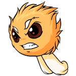 Orange Jubjub