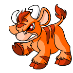 Orange Kau