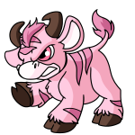 Pink Kau