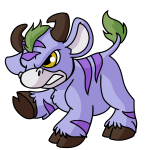 Purple Kau
