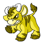 Yellow Kau