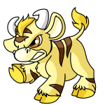 Yellow Kau