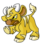 Yellow Kau