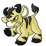Yellow Kau