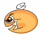 Orange Kiko
