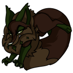 Brown Kitzen