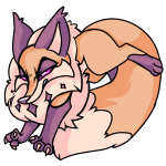 Orange Kitzen