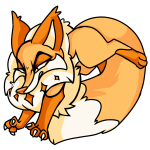 Orange Kitzen