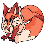 Orange Kitzen