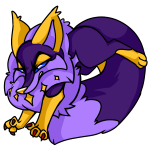 Purple Kitzen