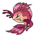 Pink Koi