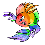 Rainbow Koi