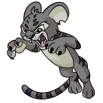 Ashen Kougra