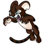 Brown Kougra