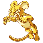 Gold Kougra