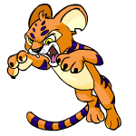 Orange Kougra